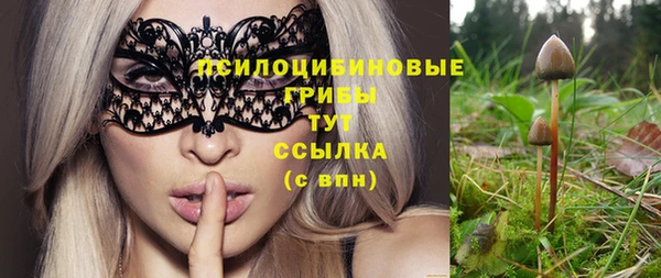 ешки Шали