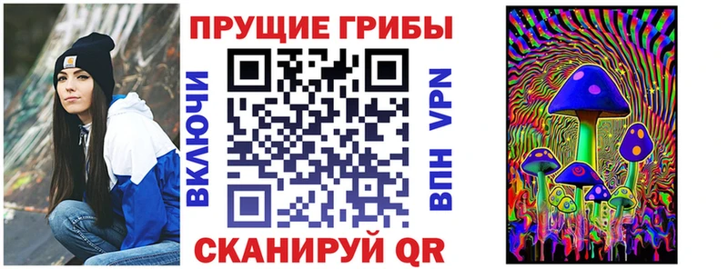 как найти   Энгельс  Псилоцибиновые грибы ЛСД 